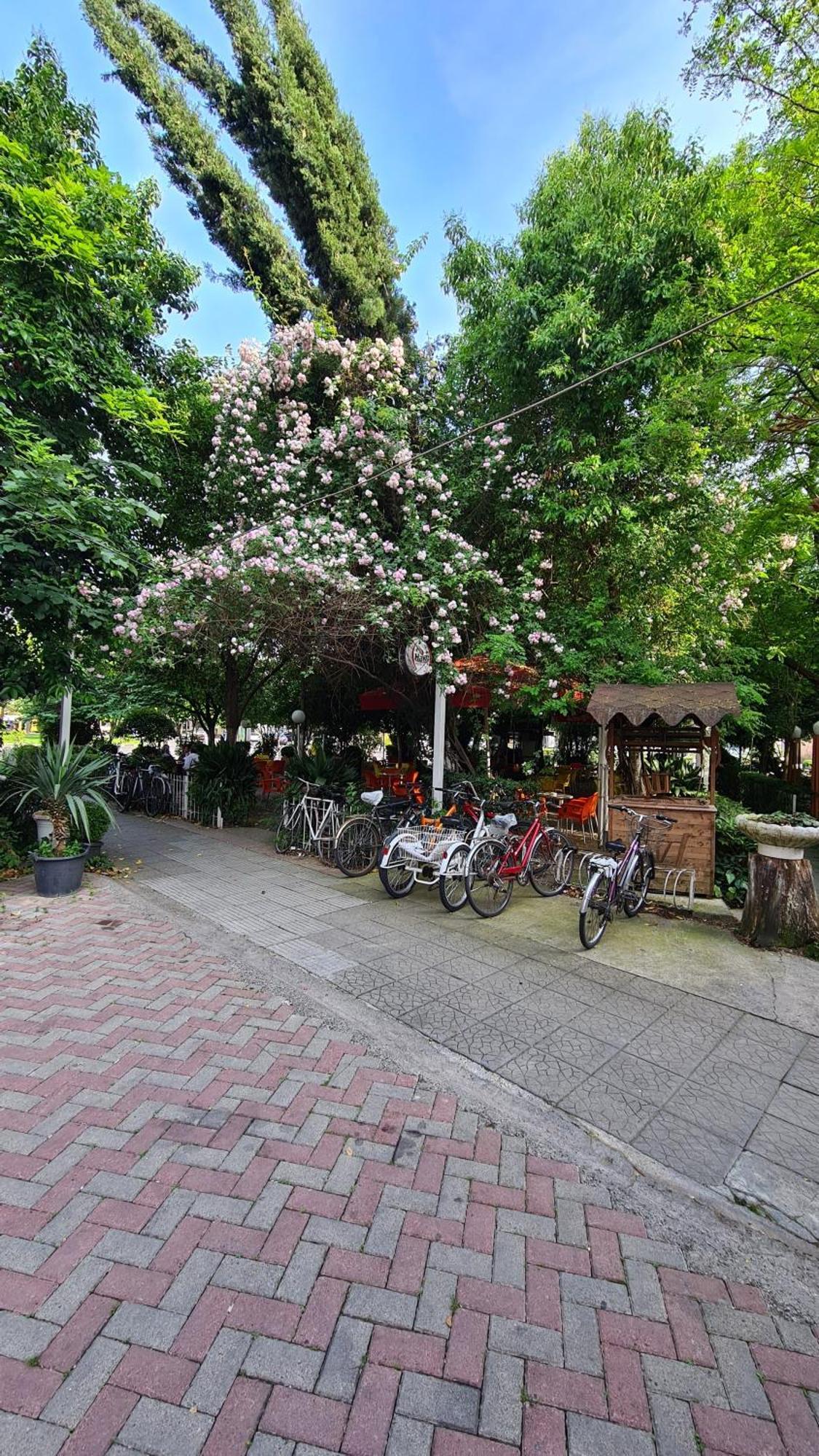 Dei Cozy Apartment Shkodër 외부 사진